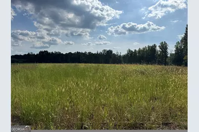 0 Hwy 113, Temple, GA 30179 - Photo 1