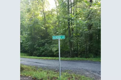 946 Aurora Lane, Ranger, GA 30734 - Photo 3