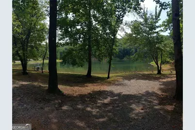 946 Aurora Lane, Ranger, GA 30734 - Photo 19