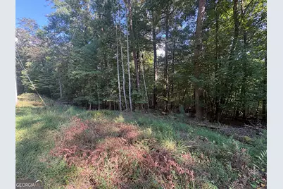 000 Macedonia Church Road, Blue Ridge, GA 30513 - Photo 7