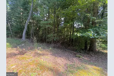 000 Macedonia Church Road, Blue Ridge, GA 30513 - Photo 5
