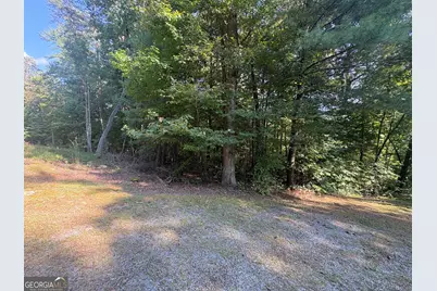 000 Macedonia Church Road, Blue Ridge, GA 30513 - Photo 3