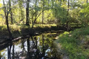 114 Riley Ct, Springfield, GA 31329 - Photo 1