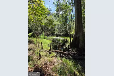 114 Riley Court, Springfield, GA 31329 - Photo 21