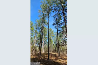 1121 Apalachee Meadows Drive, Madison, GA 30650 - Photo 13