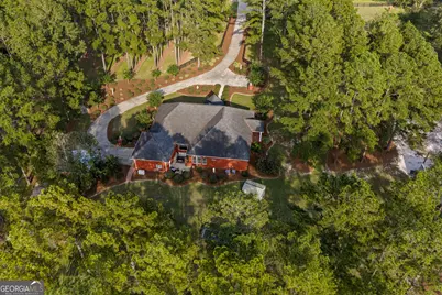 314 Sam Miles Road, Baxley, GA 31513 - Photo 3