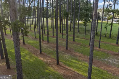 314 Sam Miles Road, Baxley, GA 31513 - Photo 33