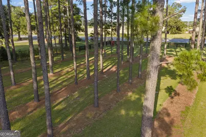 314 Sam Miles Road, Baxley, GA 31513 - Photo 23