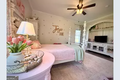 2493 Broxton Highway, Denton, GA 31532 - Photo 53