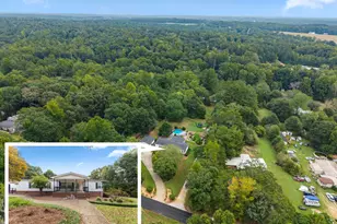 176 Woodpecker Ln, Nicholson, GA 30565 - Photo 57