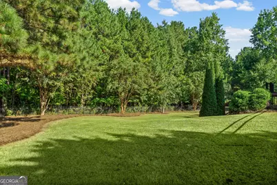 314 Wintersweet Way, Sharpsburg, GA 30277 - Photo 47