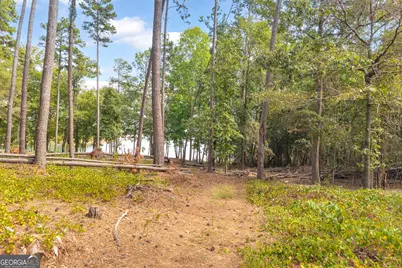 26 Players Lane, Hartwell, GA 30643 - Photo 51