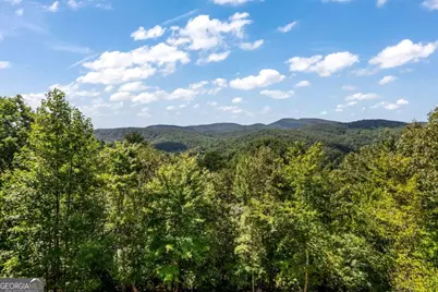671 Stover Knob Trail, Cherry Log, GA 30522 - Photo 67