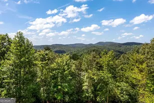 671 Stover Knob Trl, Cherry Log, GA 30522 - Photo 67