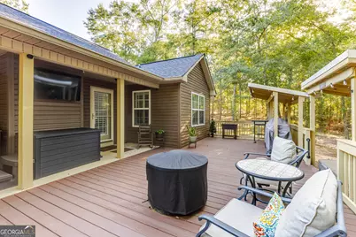449 Green Road, Ellaville, GA 31806 - Photo 11