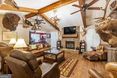 449 Green Road, Ellaville, GA 31806 - Photo 23