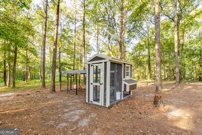 449 Green Road, Ellaville, GA 31806 - Photo 7