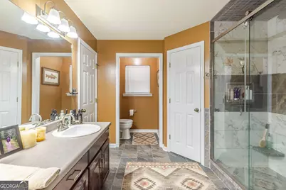 449 Green Road, Ellaville, GA 31806 - Photo 21