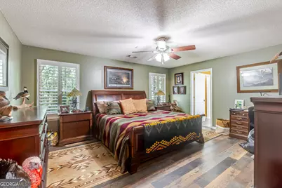 449 Green Road, Ellaville, GA 31806 - Photo 19
