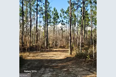 0 Mill Branch Club Lot 1M Road, Nevils, GA 31321 - Photo 1