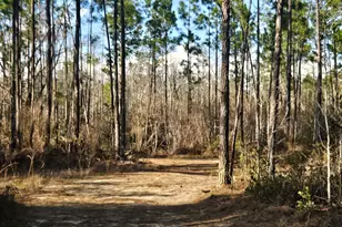 0 Ml Br Clb Rd Lot 1M, Nevils, GA 31321 - Photo 1