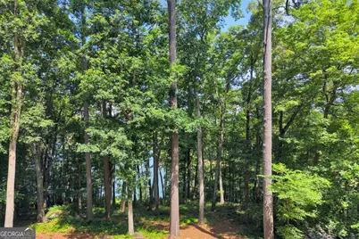 177 Nighthawk Court, Monticello, GA 31064 - Photo 67