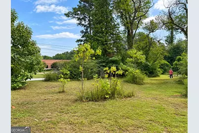 46 River Road, Warm Springs, GA 31830 - Photo 9