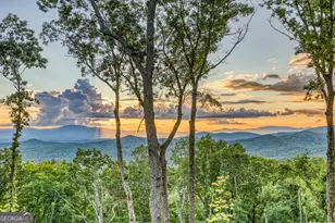 91 Kittatinny Dr, Mineral Bluff, GA 30559 - Photo 53