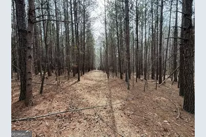 3600 Thompson Mill Road, Buford, GA 30519 - Photo 69