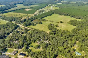 523 Taylor Rowland Rd, Dexter, GA 31019 - Photo 51