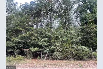 1521 Cordele Road, Bowman, GA 30624 - Photo 1