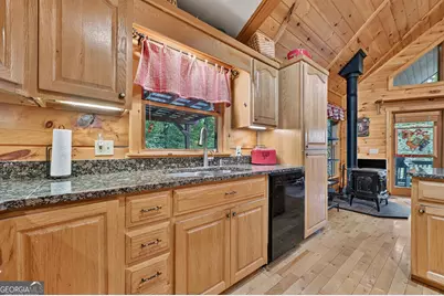 466 Hoot Owl Hill, Morganton, GA 30560 - Photo 45