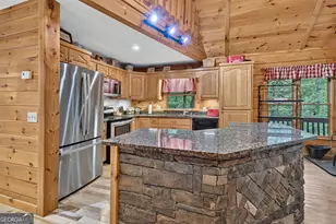 466 Hoot Owl Hill, Morganton, GA 30560 - Photo 27