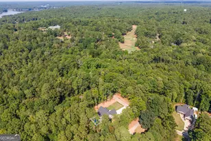 673 Pelican Cir, Monticello, GA 31064 - Photo 47
