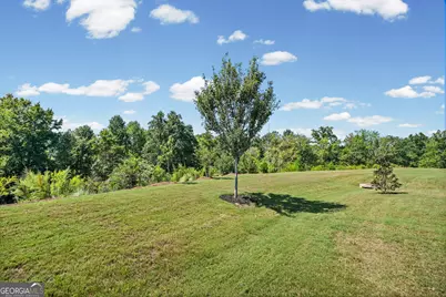 156 Alcovy Court, Griffin, GA 30223 - Photo 39