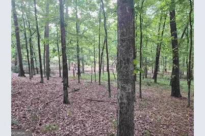 1100 Centennial Post, Greensboro, GA 30642 - Photo 3
