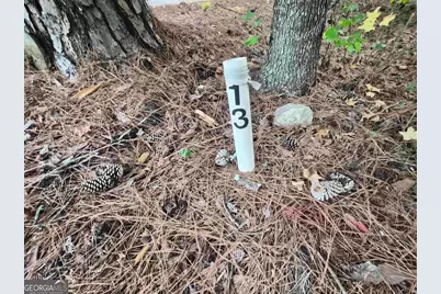 1100 Centennial Post, Greensboro, GA 30642 - Photo 5