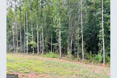1027 Roberts Rd, Demorest, GA 30535 - Photo 27