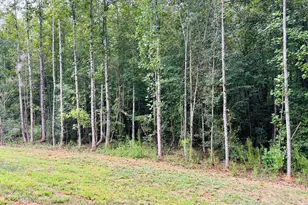 1027 Roberts Rd, Demorest, GA 30535 - Photo 27