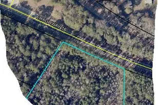 Lot 5 Ga Hwy 16, Sharpsburg, GA 30277 - Photo 1