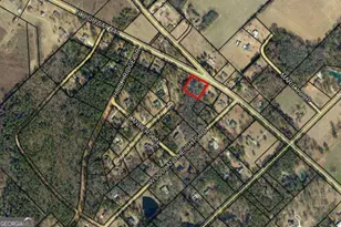0 Hwy 441 Lot 748, Dublin, GA 31021 - Photo 1