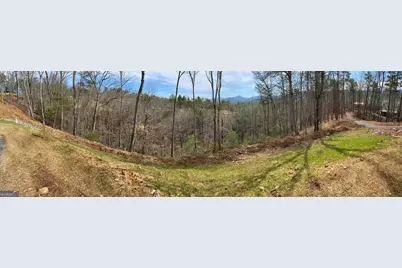 50 Mountain Laurel Ridge, Mineral Bluff, GA 30559 - Photo 3