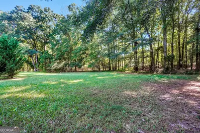 1004 Maddox Court, Griffin, GA 30224 - Photo 43