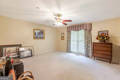 557 Green Road, Ellaville, GA 31806 - Photo 37