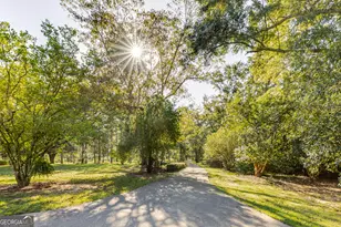 557 Green Rd, Ellaville, GA 31806 - Photo 5