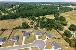 103 Advent Dr, Winder, GA 30680 - Photo 57