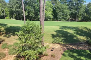 1020 Turnberry Cir, Greensboro, GA 30642 - Photo 61