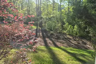1020 Turnberry Cir, Greensboro, GA 30642 - Photo 63