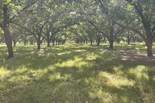 49 Elderberry Ln, Abbeville, GA 31001 - Photo 25