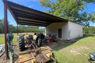 49 Elderberry Ln, Abbeville, GA 31001 - Photo 21